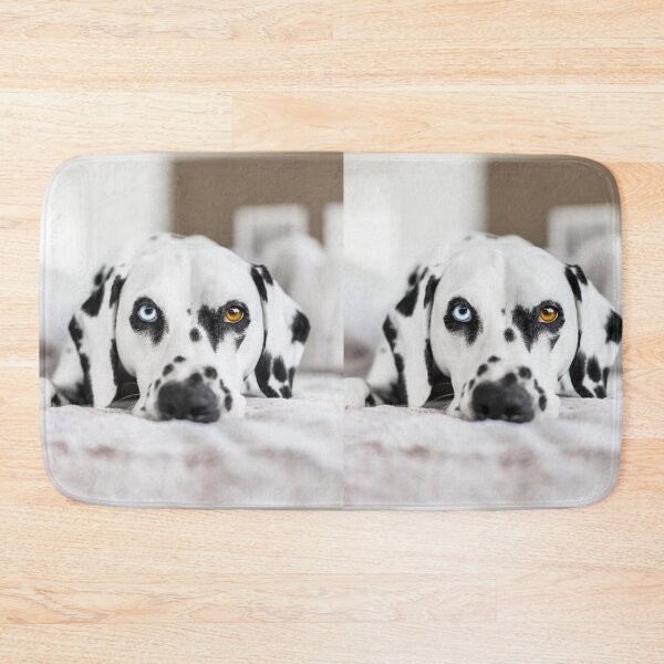 Item preview, Unique Heterochromia Dalmatian Dog Close Up designed and sold by VanGaldo.