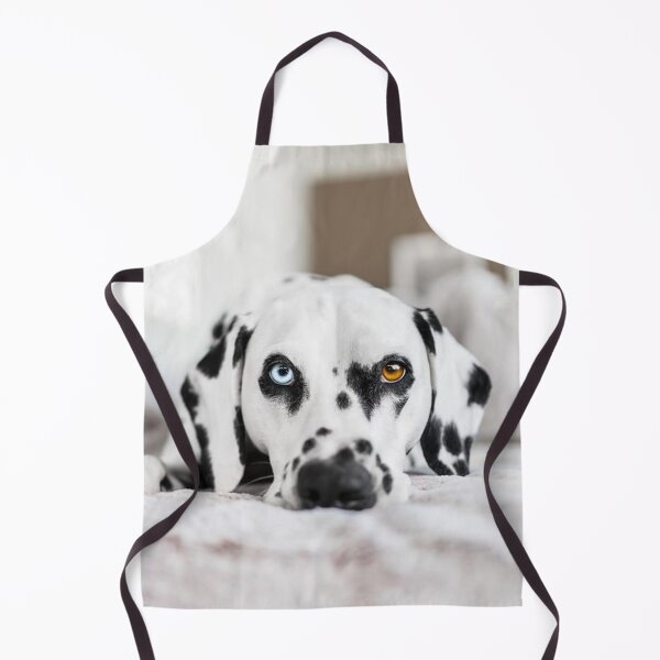 Item preview, Unique Heterochromia Dalmatian Dog Close Up designed and sold by VanGaldo.