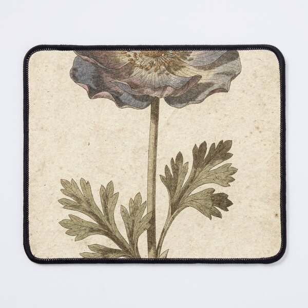 Item preview, Charcoal Anemone on Warm Paper designed and sold by Carnival Studio.