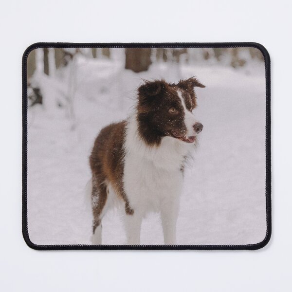 Item preview, Beautiful Border Collie Standing in Winter Snow designed and sold by VanGaldo.