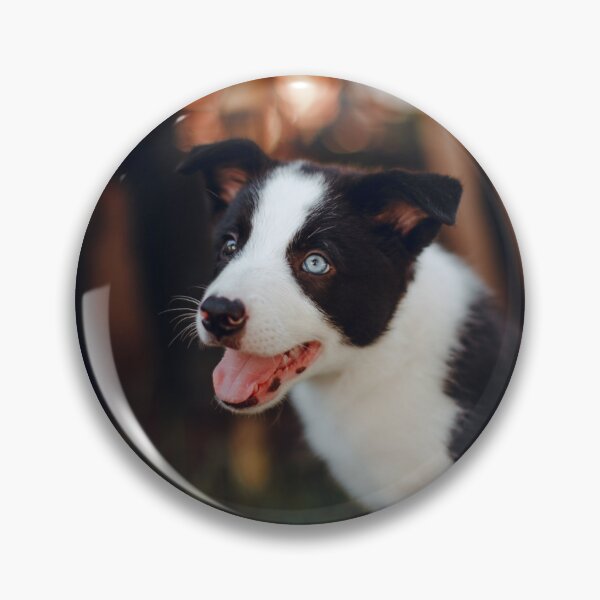 Item preview, Happy Border Collie Puppy with Blue Eyes designed and sold by VanGaldo.
