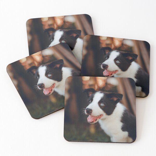 Item preview, Happy Border Collie Puppy with Blue Eyes designed and sold by VanGaldo.