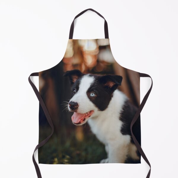 Artikelvorschau, Fröhlicher Border-Collie-Welpe mit blauen Augen entworfen und verkauft von VanGaldo.
