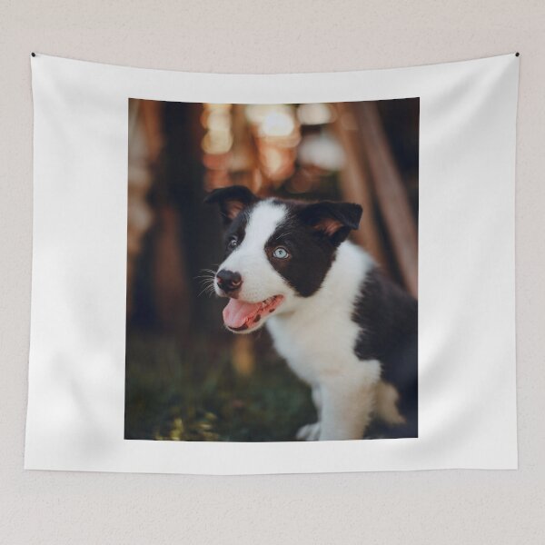 Item preview, Happy Border Collie Puppy with Blue Eyes designed and sold by VanGaldo.