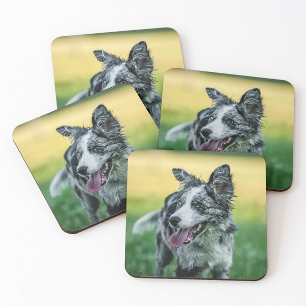 Item preview, Happy Blue Merle Border Collie Outdoors designed and sold by VanGaldo.