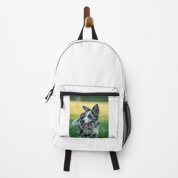 Item preview, Happy Blue Merle Border Collie Outdoors designed and sold by VanGaldo.