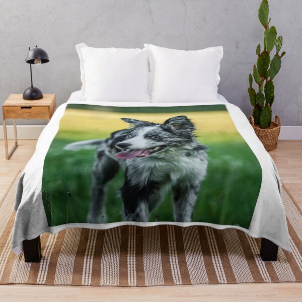Item preview, Happy Blue Merle Border Collie Outdoors designed and sold by VanGaldo.