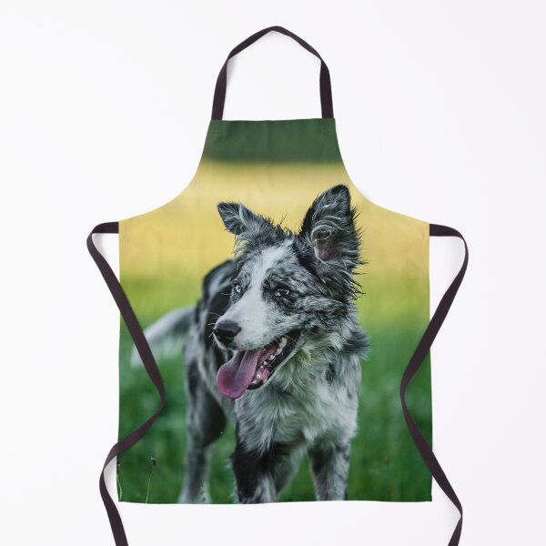 Item preview, Happy Blue Merle Border Collie Outdoors designed and sold by VanGaldo.