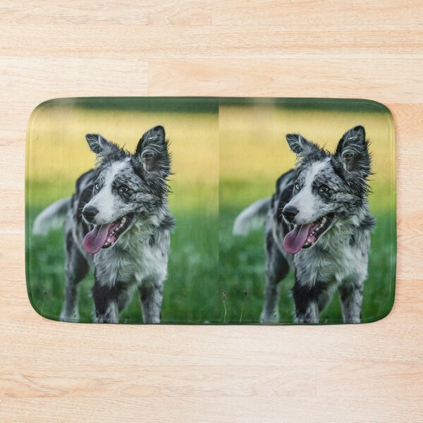 Item preview, Happy Blue Merle Border Collie Outdoors designed and sold by VanGaldo.