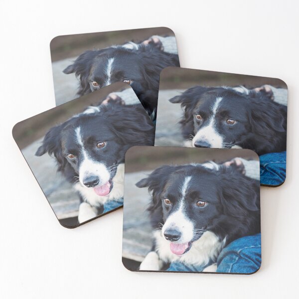 Item preview, Gentle Border Collie Dog Looking Lovingly designed and sold by VanGaldo.