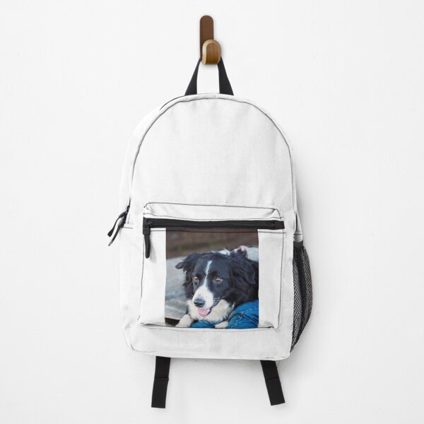 Item preview, Gentle Border Collie Dog Looking Lovingly designed and sold by VanGaldo.