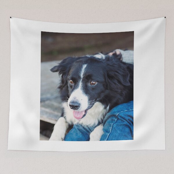 Item preview, Gentle Border Collie Dog Looking Lovingly designed and sold by VanGaldo.