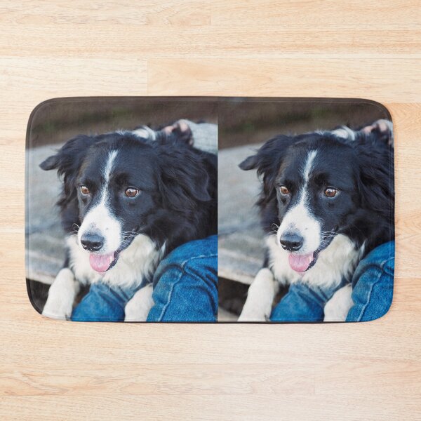 Item preview, Gentle Border Collie Dog Looking Lovingly designed and sold by VanGaldo.