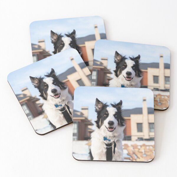 Item preview, Happy Border Collie with Stunning Heterochromia designed and sold by VanGaldo.