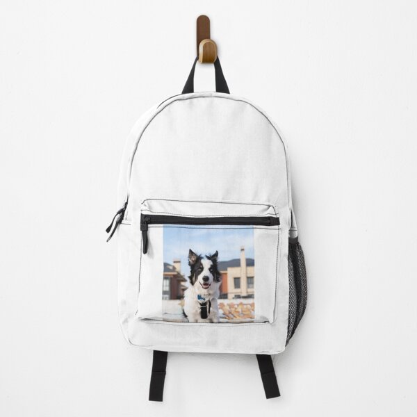 Item preview, Happy Border Collie with Stunning Heterochromia designed and sold by VanGaldo.