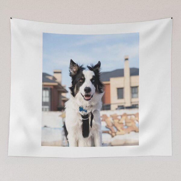 Item preview, Happy Border Collie with Stunning Heterochromia designed and sold by VanGaldo.