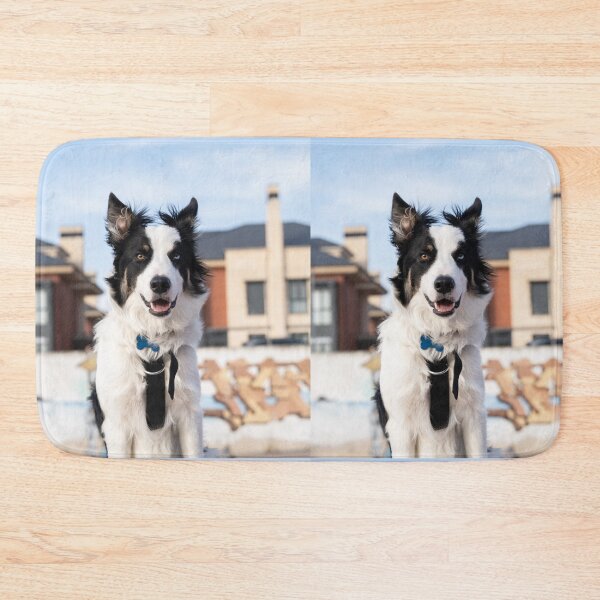 Item preview, Happy Border Collie with Stunning Heterochromia designed and sold by VanGaldo.