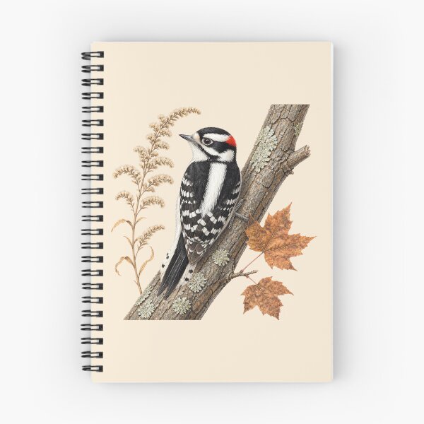 Item preview, Downy Woodpecker Autumn Study | Vintage Naturalist Bird designed and sold by BloomStudio1.