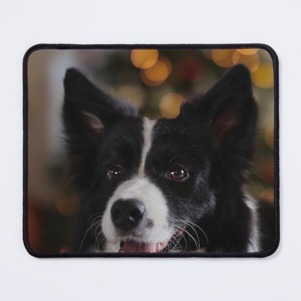 Item preview, Smiling Border Collie Dog Close Up designed and sold by VanGaldo.