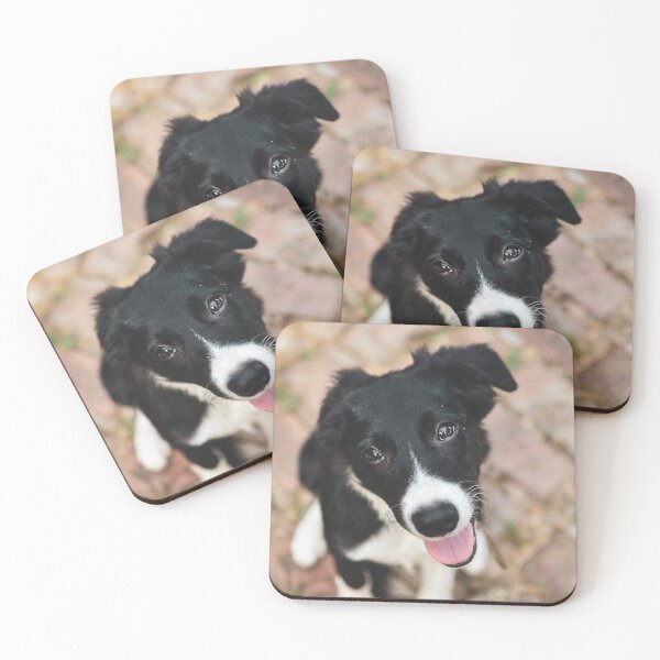 Item preview, Heartmelting Border Collie Puppy Close Up designed and sold by VanGaldo.