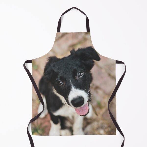 Item preview, Heartmelting Border Collie Puppy Close Up designed and sold by VanGaldo.