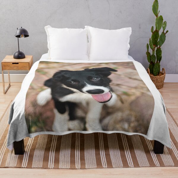 Item preview, Heartmelting Border Collie Puppy Close Up designed and sold by VanGaldo.