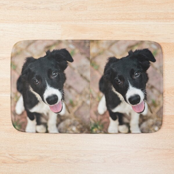 Item preview, Heartmelting Border Collie Puppy Close Up designed and sold by VanGaldo.
