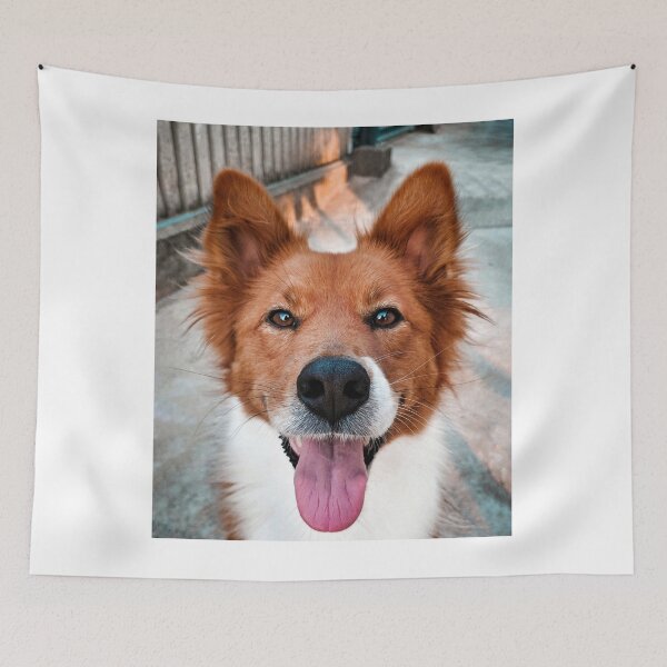 Item preview, Happy Red Border Collie Sticking Tongue Out designed and sold by VanGaldo.