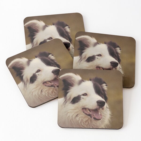 Item preview, Happy Border Collie in Golden Sunlight designed and sold by VanGaldo.