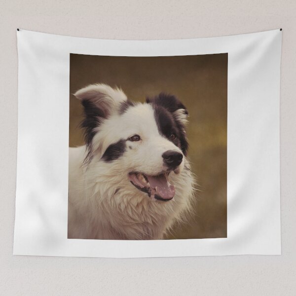 Item preview, Happy Border Collie in Golden Sunlight designed and sold by VanGaldo.