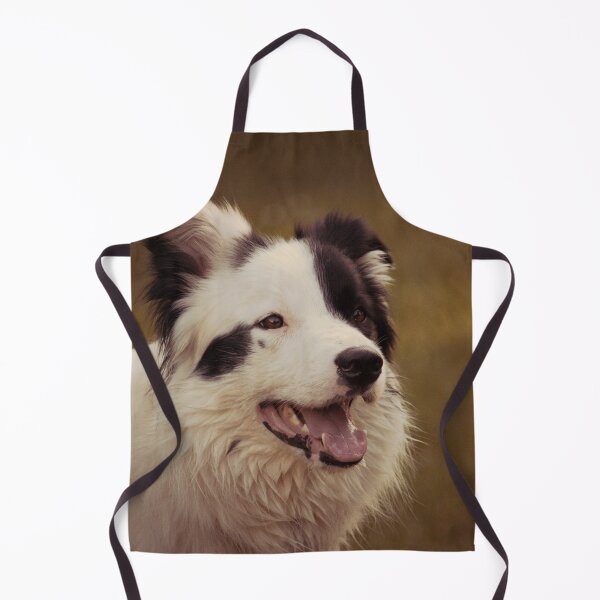 Artikelvorschau, Ein glücklicher Border Collie im goldenen Sonnenlicht entworfen und verkauft von VanGaldo.
