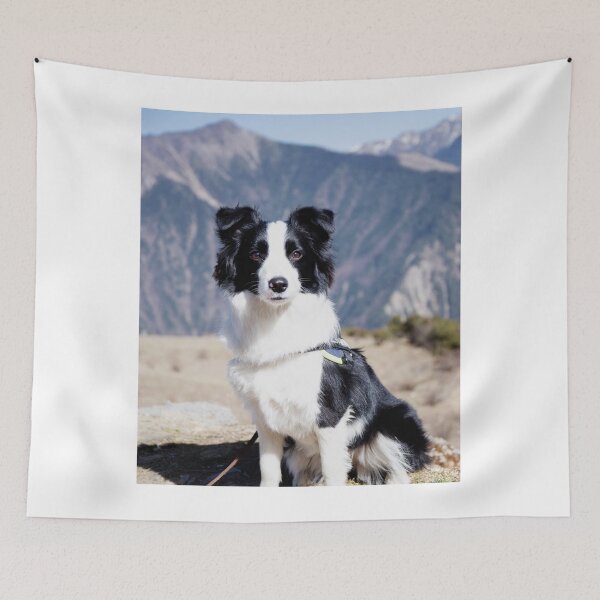 Item preview, Adventure Border Collie Dog Mountain Portrait designed and sold by VanGaldo.