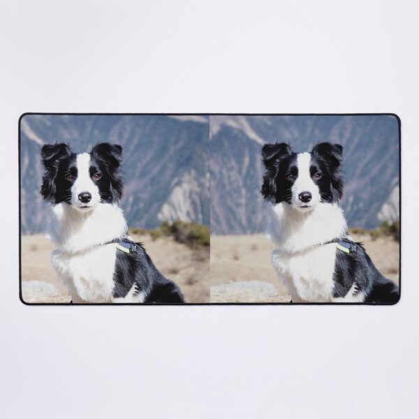 Item preview, Adventure Border Collie Dog Mountain Portrait designed and sold by VanGaldo.