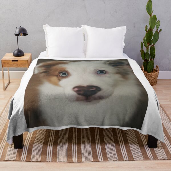 Item preview, Cute Border Collie Puppy Blue Eyes designed and sold by VanGaldo.