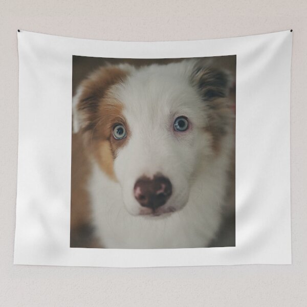 Item preview, Cute Border Collie Puppy Blue Eyes designed and sold by VanGaldo.