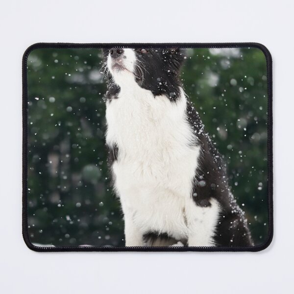 Item preview, Majestic Border Collie Watching Falling Snow designed and sold by VanGaldo.