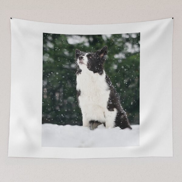 Item preview, Majestic Border Collie Watching Falling Snow designed and sold by VanGaldo.