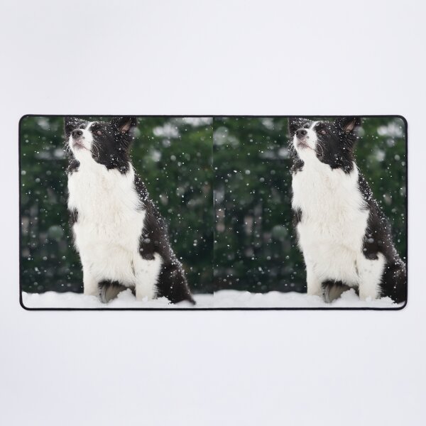 Item preview, Majestic Border Collie Watching Falling Snow designed and sold by VanGaldo.