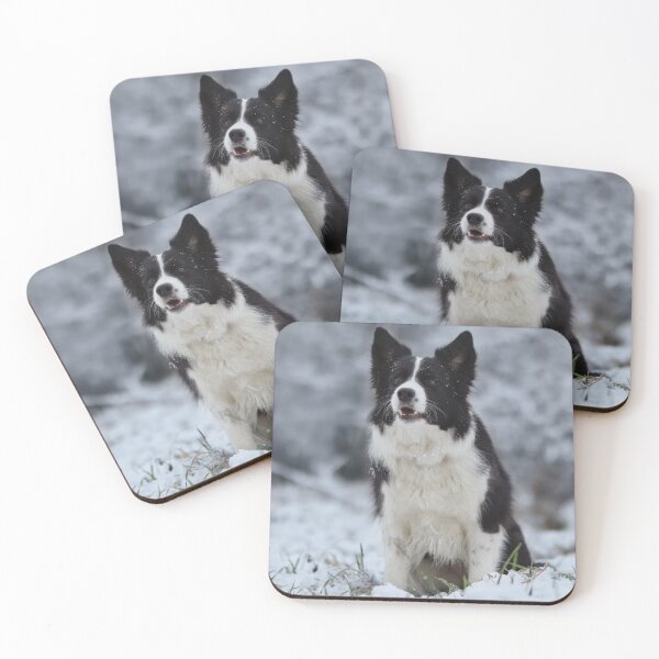 Item preview, Beautiful Border Collie Sitting in Winter Snow designed and sold by VanGaldo.