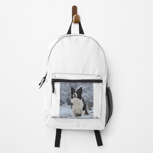 Item preview, Beautiful Border Collie Sitting in Winter Snow designed and sold by VanGaldo.