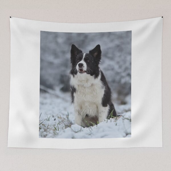 Item preview, Beautiful Border Collie Sitting in Winter Snow designed and sold by VanGaldo.