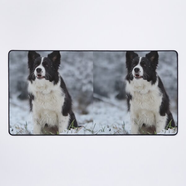Item preview, Beautiful Border Collie Sitting in Winter Snow designed and sold by VanGaldo.