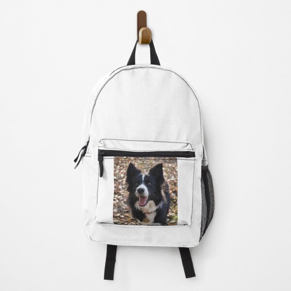 Item preview, Fluffy Border Collie Dog Looking Up Happily designed and sold by VanGaldo.