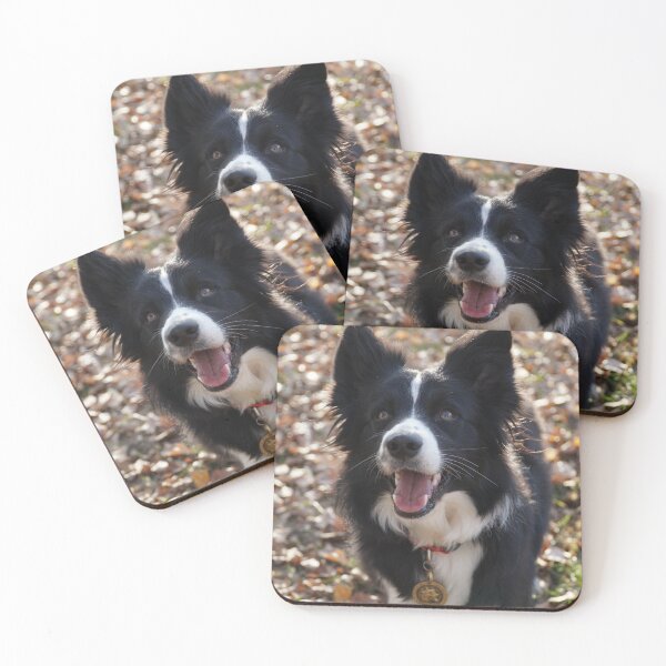 Item preview, Fluffy Border Collie Dog Looking Up Happily designed and sold by VanGaldo.