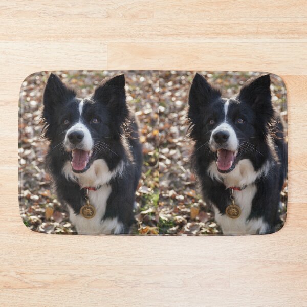 Item preview, Fluffy Border Collie Dog Looking Up Happily designed and sold by VanGaldo.