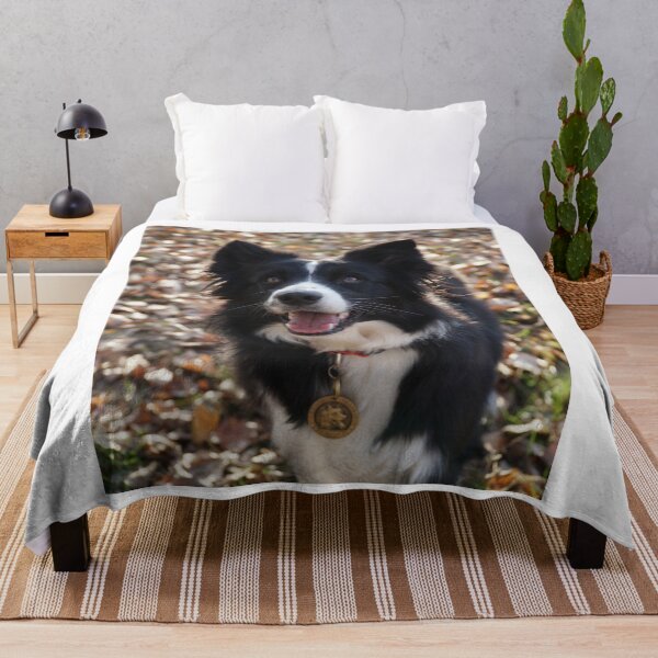 Item preview, Fluffy Border Collie Dog Looking Up Happily designed and sold by VanGaldo.