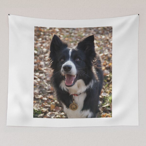 Item preview, Fluffy Border Collie Dog Looking Up Happily designed and sold by VanGaldo.