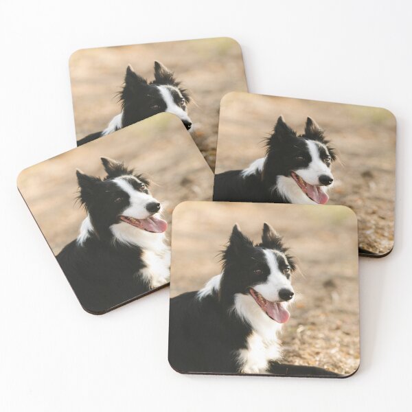 Item preview, Joyful Fluffy Border Collie Lying Down designed and sold by VanGaldo.