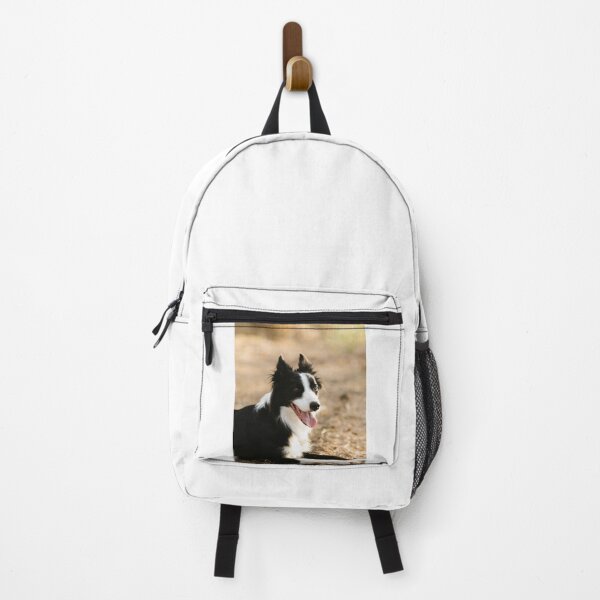 Item preview, Joyful Fluffy Border Collie Lying Down designed and sold by VanGaldo.