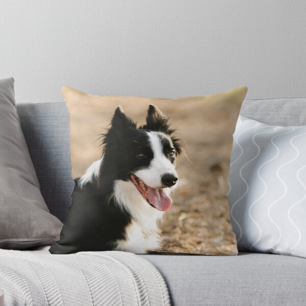 Item preview, Joyful Fluffy Border Collie Lying Down designed and sold by VanGaldo.